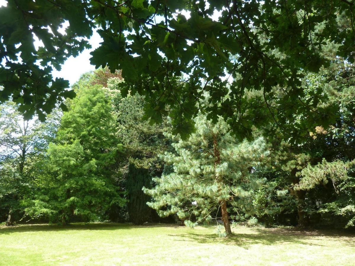 La Tiote Maison Fiennes